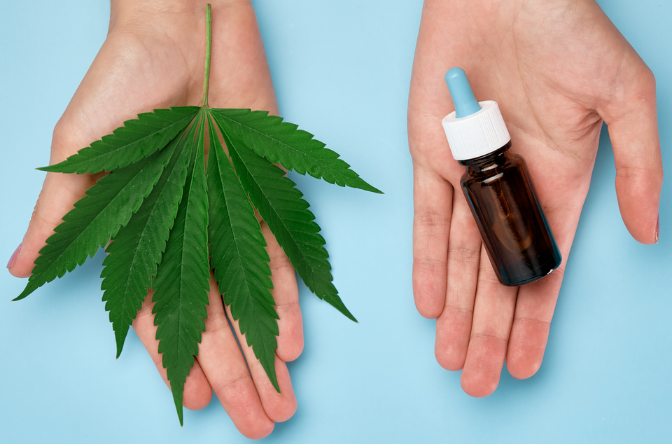 Two hands against a blue background, one holding a marijuana leaf and another a bottle of CBD oil. Concept of CBD, high, hemp, marijuana, THC, legal, skincare.